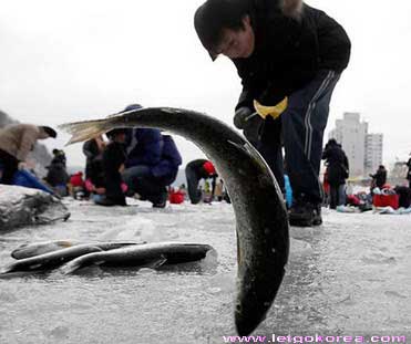 Hwacheon-ice-festival