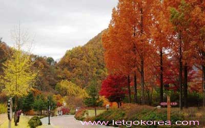 autumn-korea
